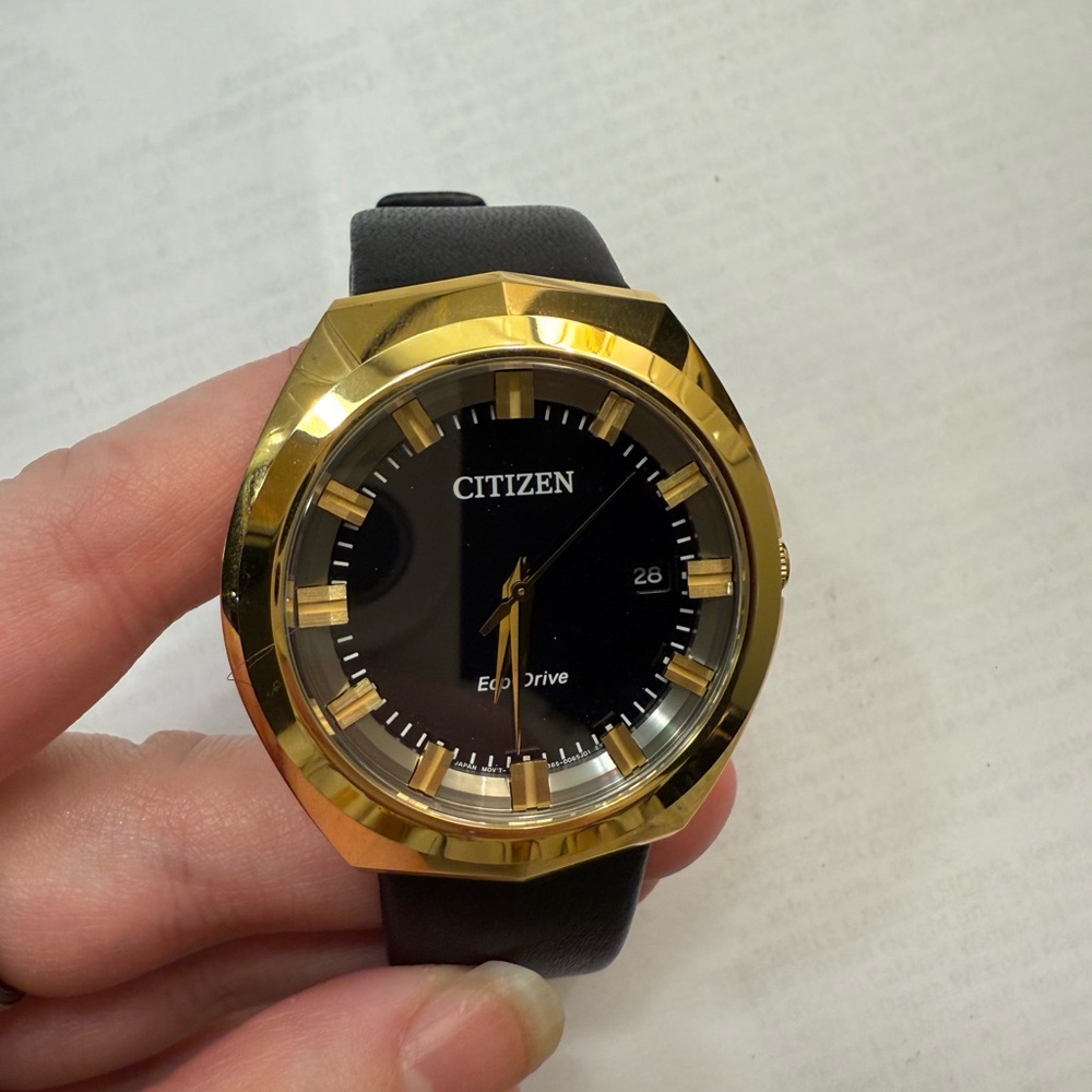 Citizen Gold and Black Eco-Drive Watch